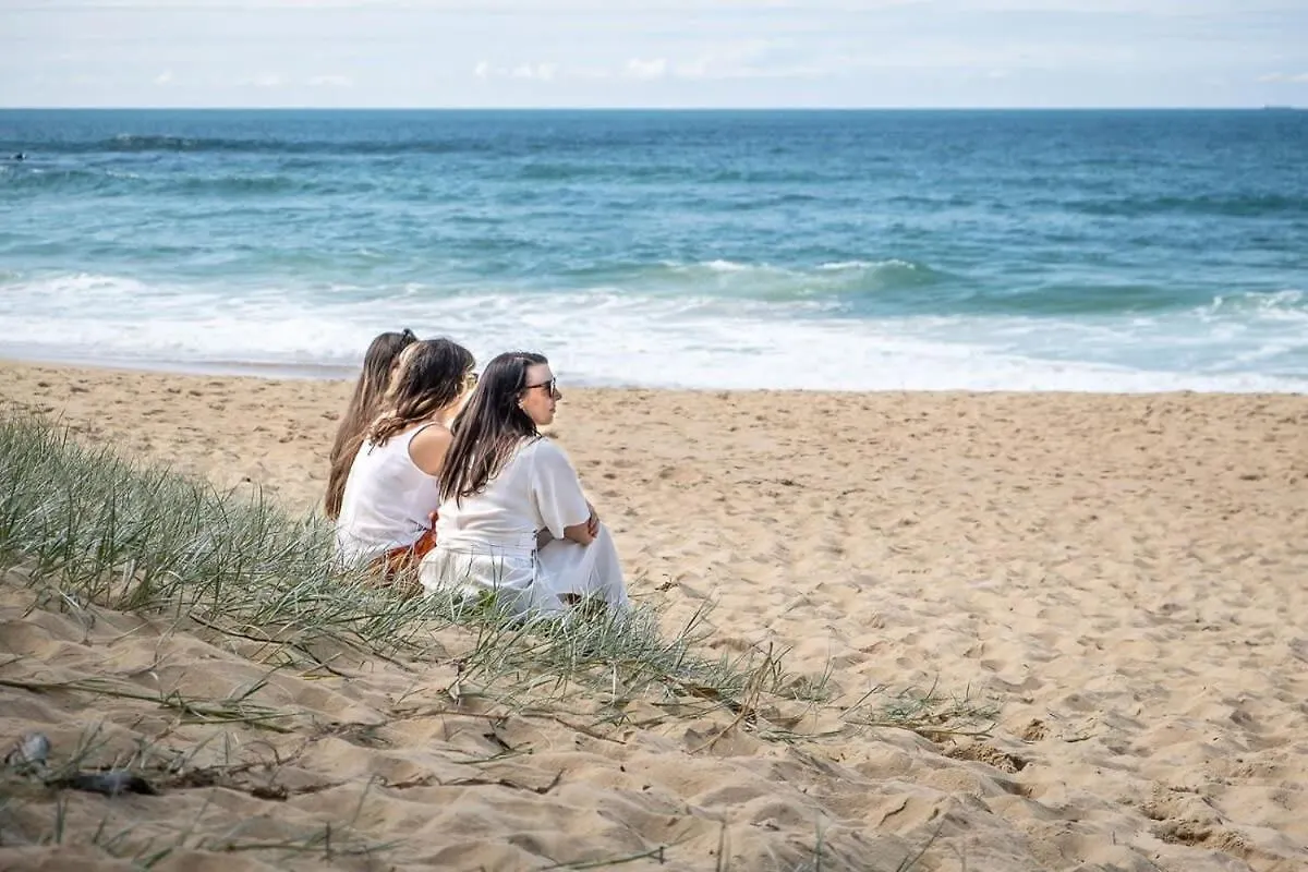 Spacious Seaside Oasis On Dicky Beach 칼론드라 펜션